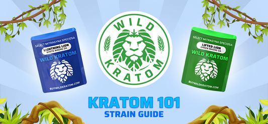 Kratom Strains 101