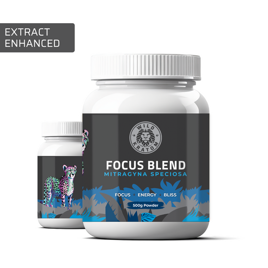 Focus Blend - Extract Enhanced Kratom